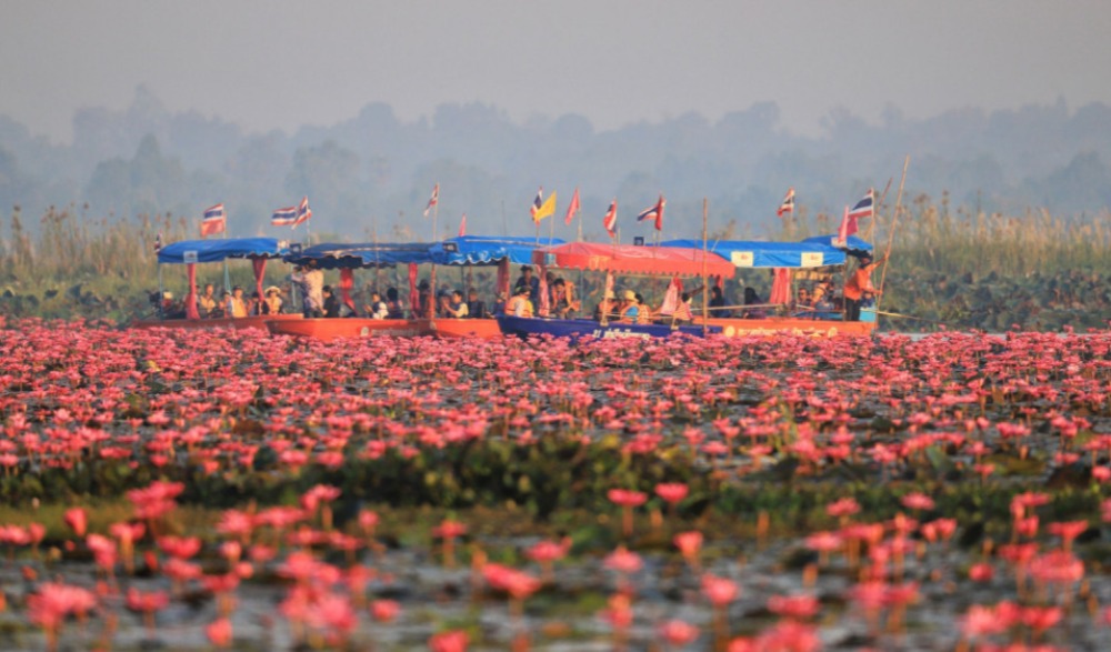 เทศกาลท่องเที่ยวทะเลบัวแดง ประจำปี 2565