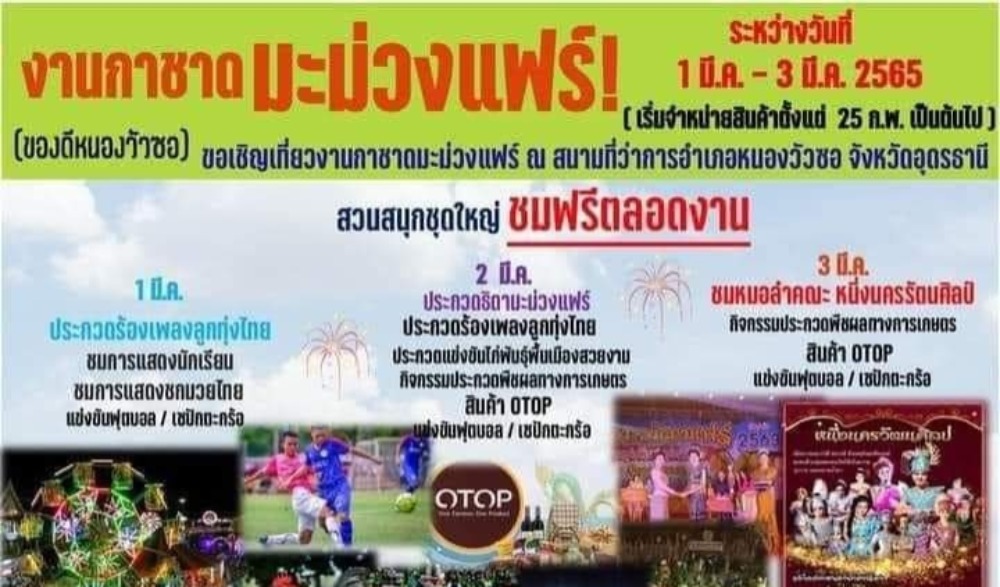 งานมะม่วงแฟร์ และงานกาชาดอำเภอหนองวัวซอ