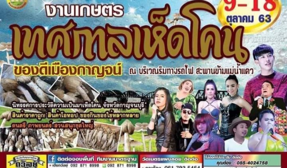 เทศกาลงานเกษตร เห็ดโคน ของดีเมืองกาญจน์