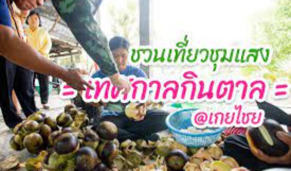 งานเปิดฤดูกินตาลและท่องเที่ยวิถีชีวิตชุมชน ครั้งที่ 16 ประจำปี 2564