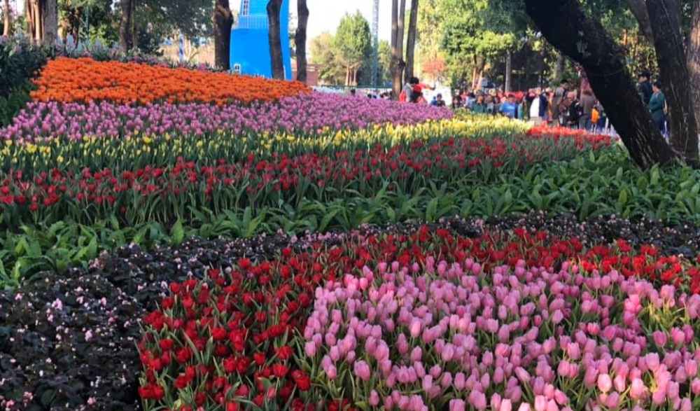 มหกรรมไม้ดอกอาเซียนเชียงราย 2020 "Chiang rai ASEAN Flower Festival 2020"
