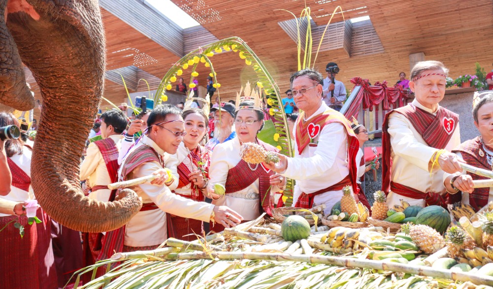 พิธีฉลองมงคลสมรสหมู่ และงานจดทะเบียนสมรสบนหลังช้าง  และพิธีแต่งงานแบบชาวกูย หรือพิธีซัตเต