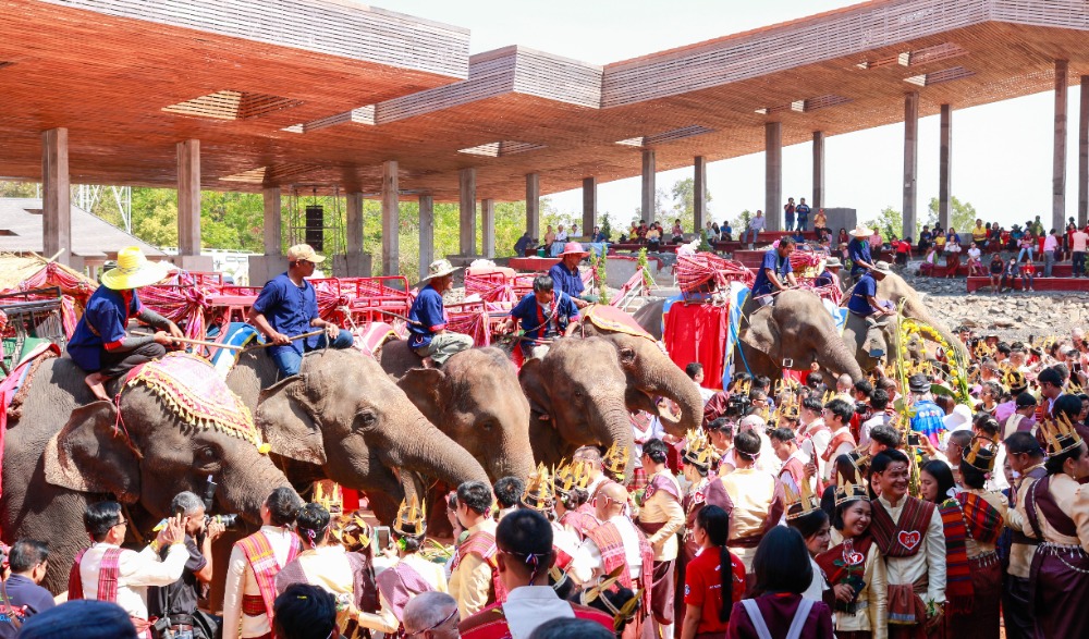 พิธีฉลองมงคลสมรสหมู่ และงานจดทะเบียนสมรสบนหลังช้าง  และพิธีแต่งงานแบบชาวกูย หรือพิธีซัตเต