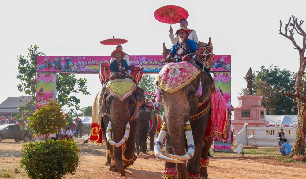 พิธีฉลองมงคลสมรสหมู่ และงานจดทะเบียนสมรสบนหลังช้าง  และพิธีแต่งงานแบบชาวกูย หรือพิธีซัตเต