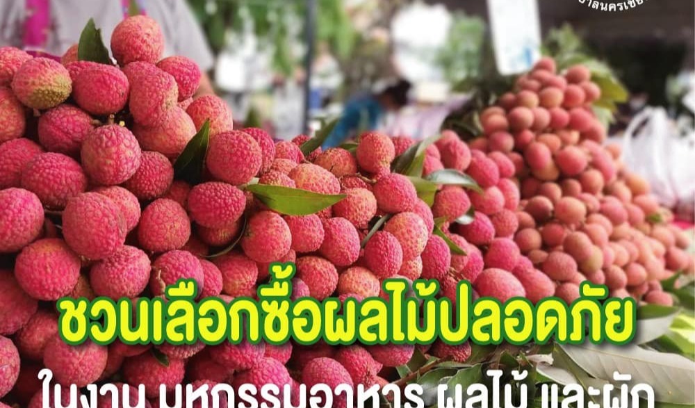 มหกรรมอาหาร ผลไม้ และผักปลอดภัยนครเชียงราย