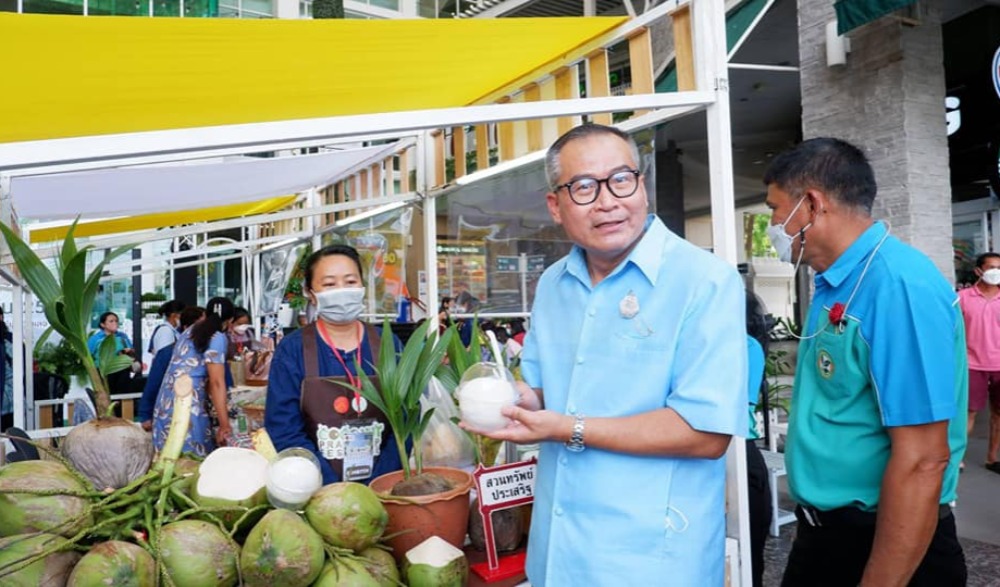 งานเทศกาลมะพร้าวประจวบคีรีขันธ์