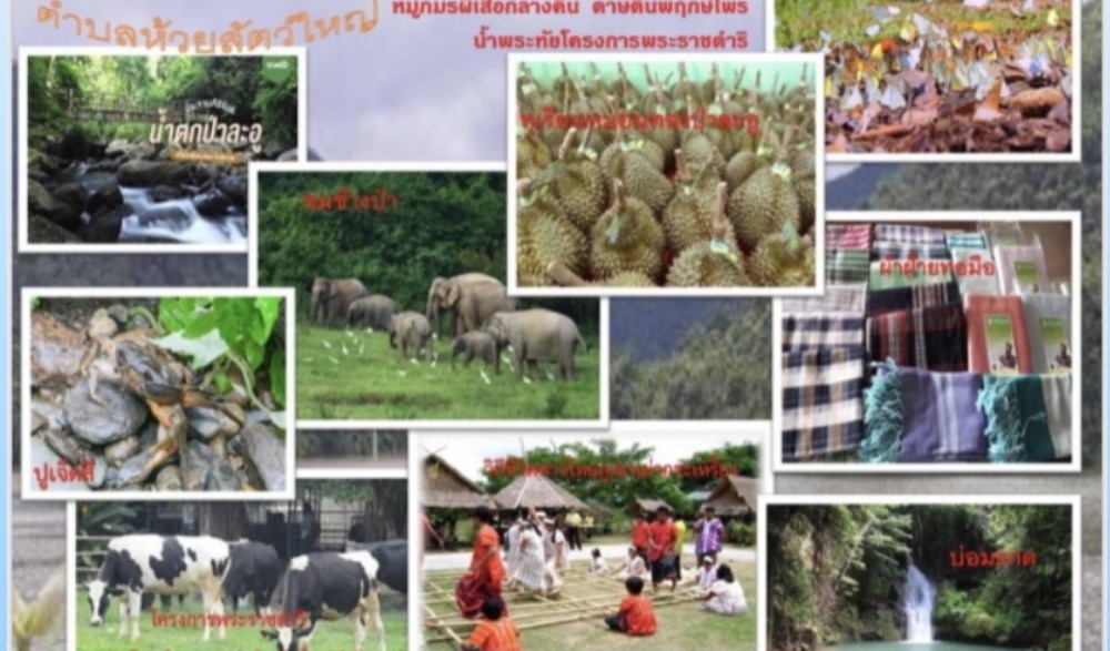 งานมหกรรมผลไม้และของดีป่าละอู