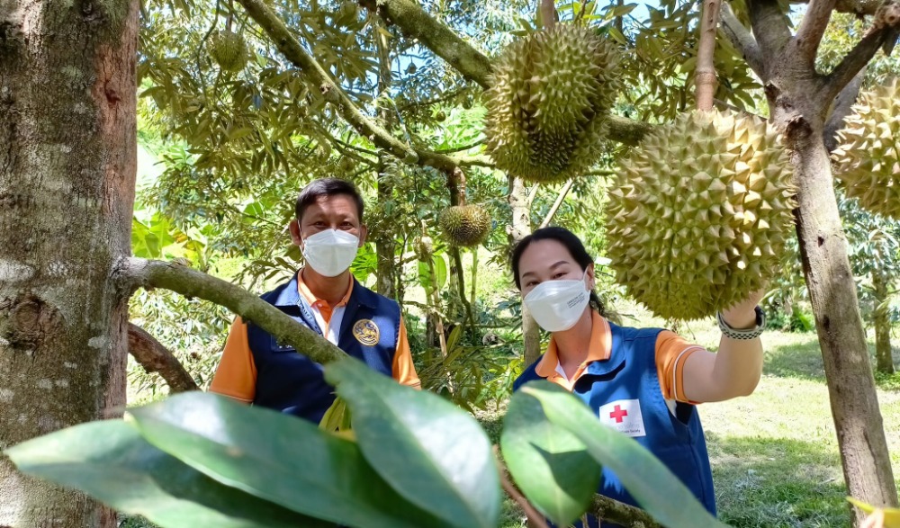 งานมหกรรมผลไม้และของดีป่าละอู