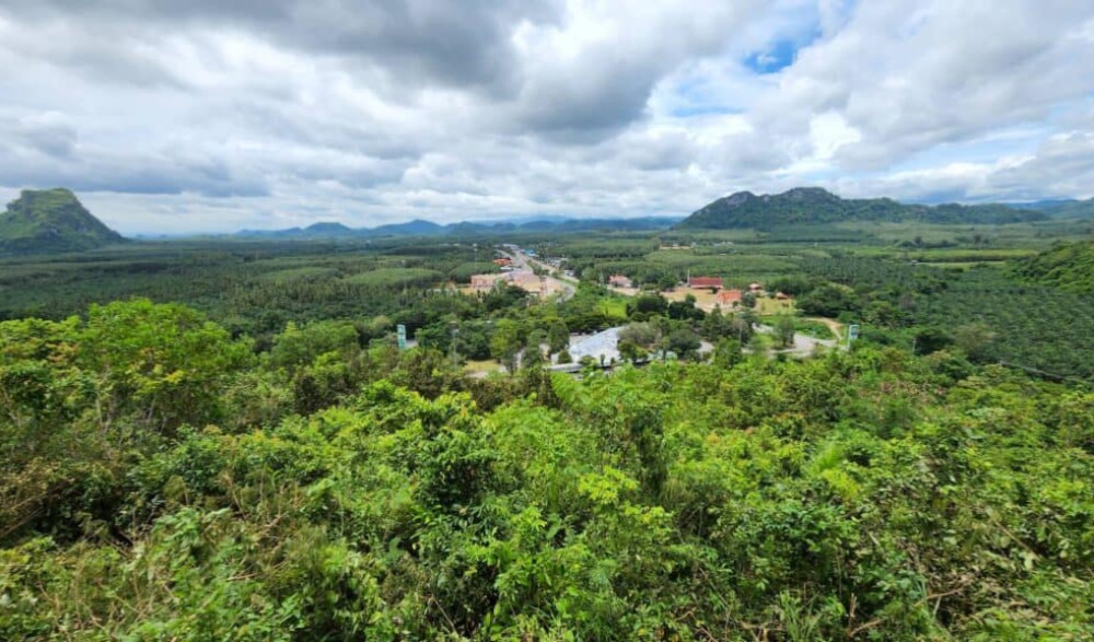 เทศกาลท่องเที่ยวดูเหยี่ยวเขาโพธิ์ บางสะพานน้อย 2565