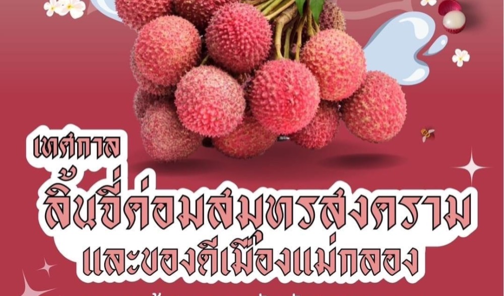 เทศกาลลิ้นจี่ค่อมสมุทรสงคราม และของดีเมืองแม่กลอง