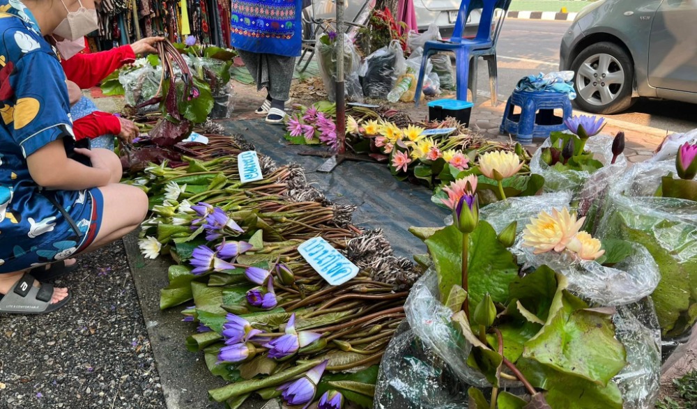 ตลาดเกษตรกร กาญจนบุรี