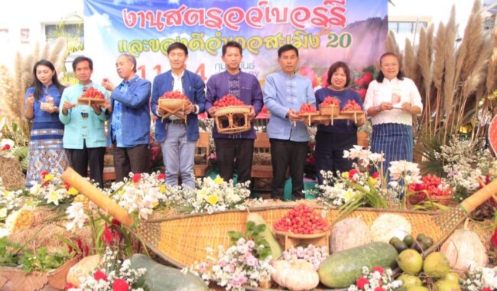 เทศกาลสตอเบอร์รี่ ของดีอำเภอสะเมิง