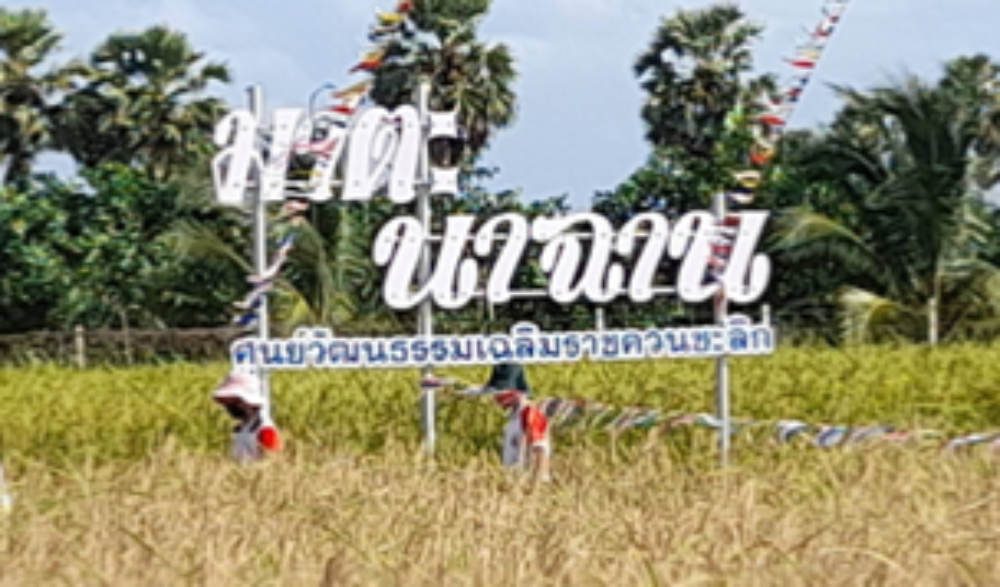 กิจกรรมประเพณีออกปากเก็บข้าว