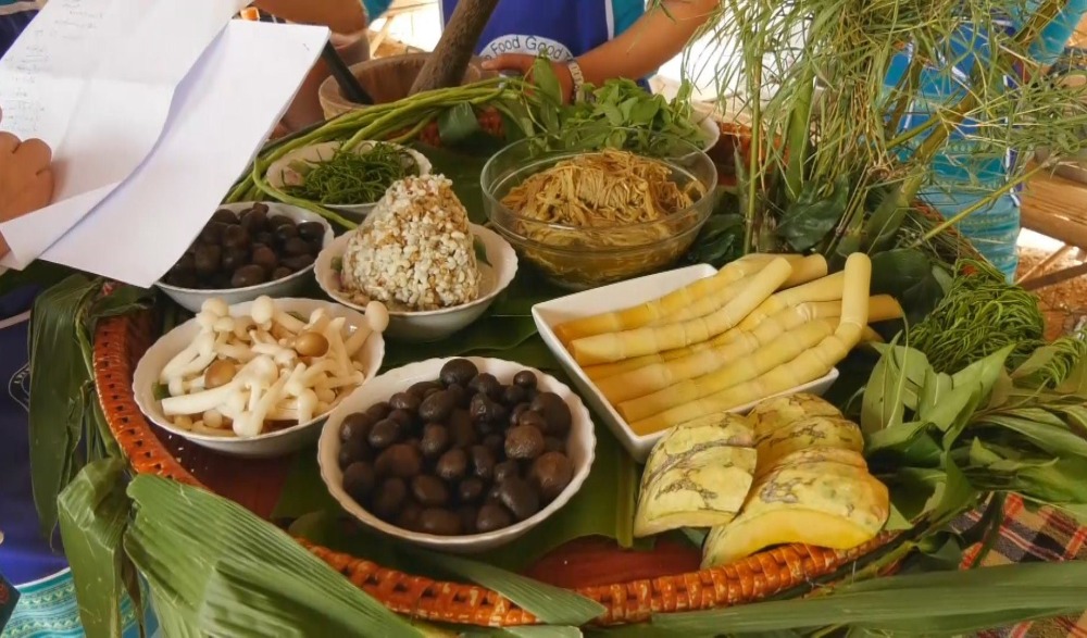 งานมหกรรมเดินป่าชมพรรณไม้ ย้อนรอยตำนานเสือร้าย กินหน่อไม้เขาราวเทียนทอง  และเทศกาลดนตรีริมเขา” ประจำปี 2566 ครั้งที่ 12