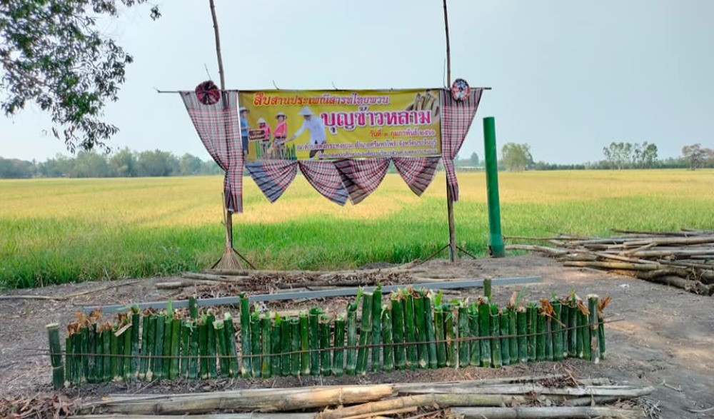 ประเพณีสารทไทยพวน บุญข้าวหลาม บ้านดงกระทงยาม