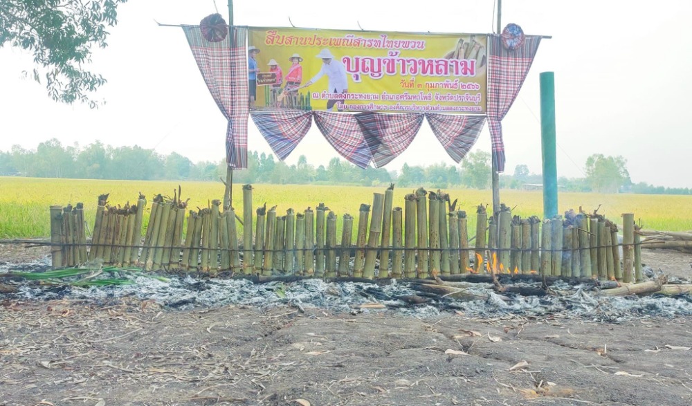 ประเพณีสารทไทยพวน บุญข้าวหลาม บ้านดงกระทงยาม