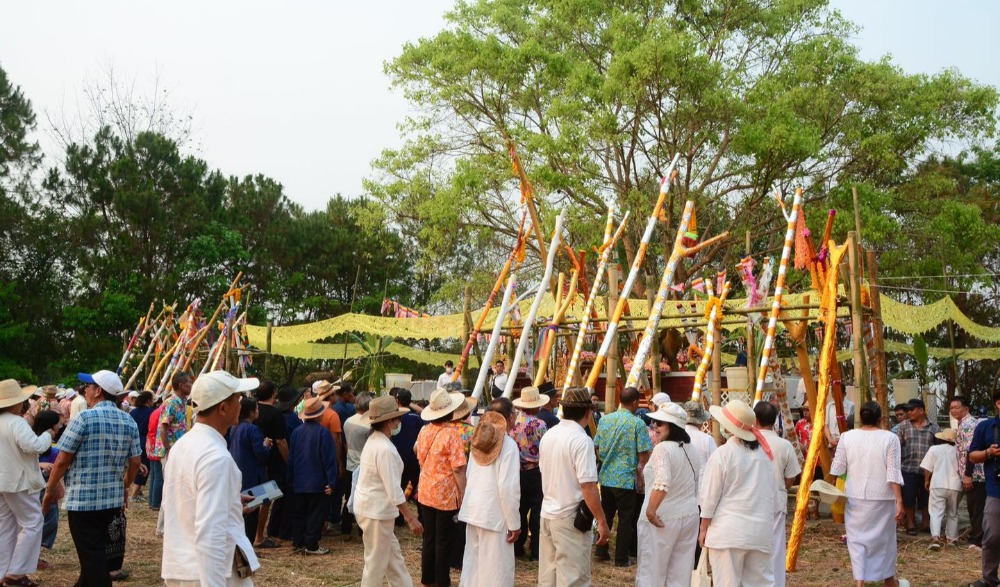 พิธีแห่ไม้ค้ำสรีพุทธสถานพระธาตุวังซาง