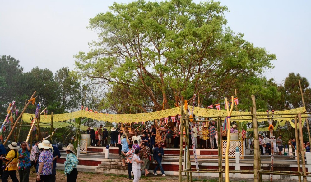 พิธีแห่ไม้ค้ำสรีพุทธสถานพระธาตุวังซาง