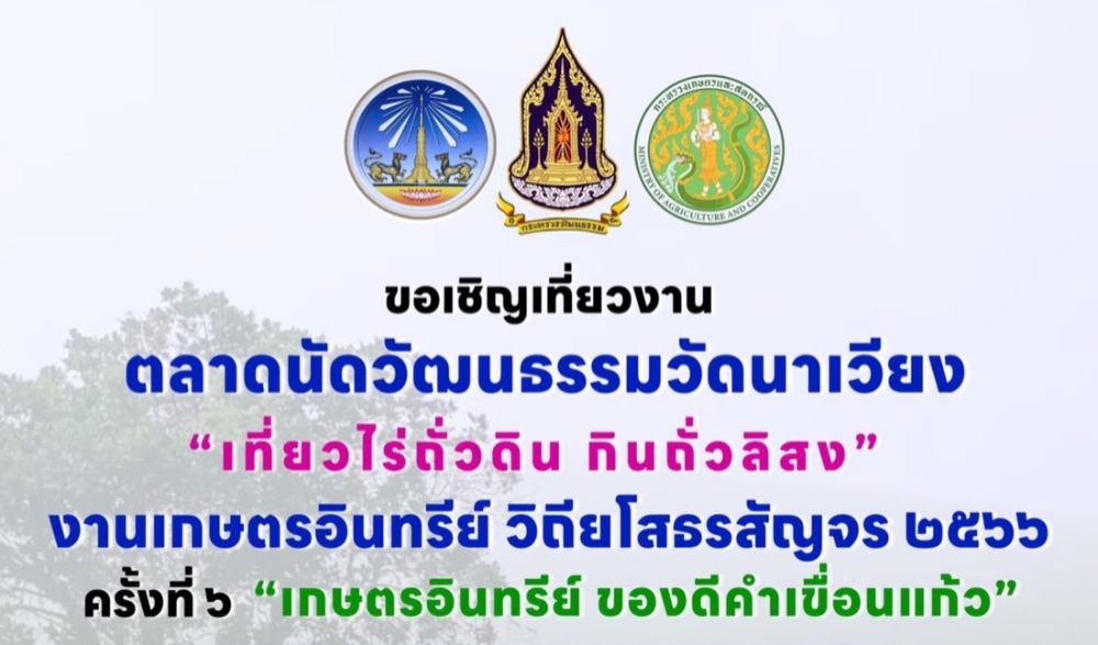 ตลาดนัดวัฒนธรรมวัดนาเวียง เที่ยวไร่ถั่วดิน กินถั่วลิสง