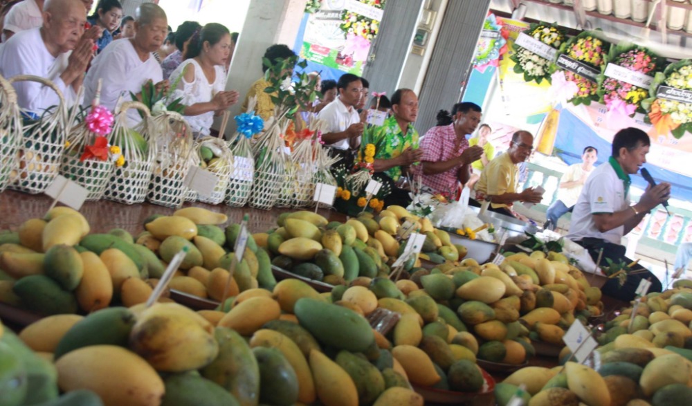 สืบสานประเพณีไทยพวน บุญสลากภัตมะม่วง บ้านดงกระทงยาม ปราจีนบุรี