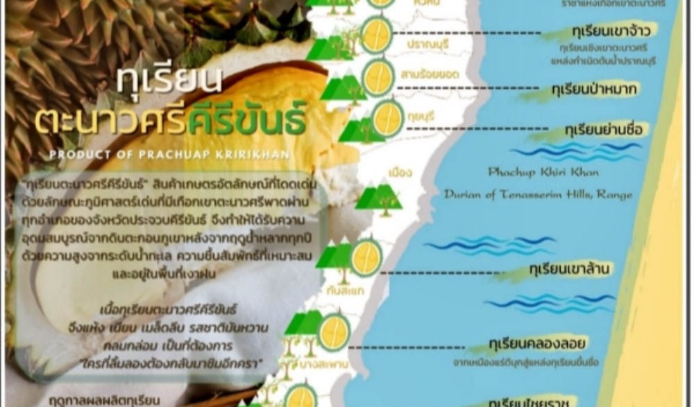 งานเทศกาลผลไม้และของดีตะนาวศรีคีรีขันธ์ จังหวัดประจวบคีรีขันธ์ ปี 2566