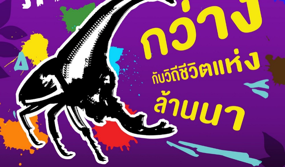 “กว่าง” ยอดนักสู้แห่งล้านนา (Chiang Rai Beetles Festival 2023)