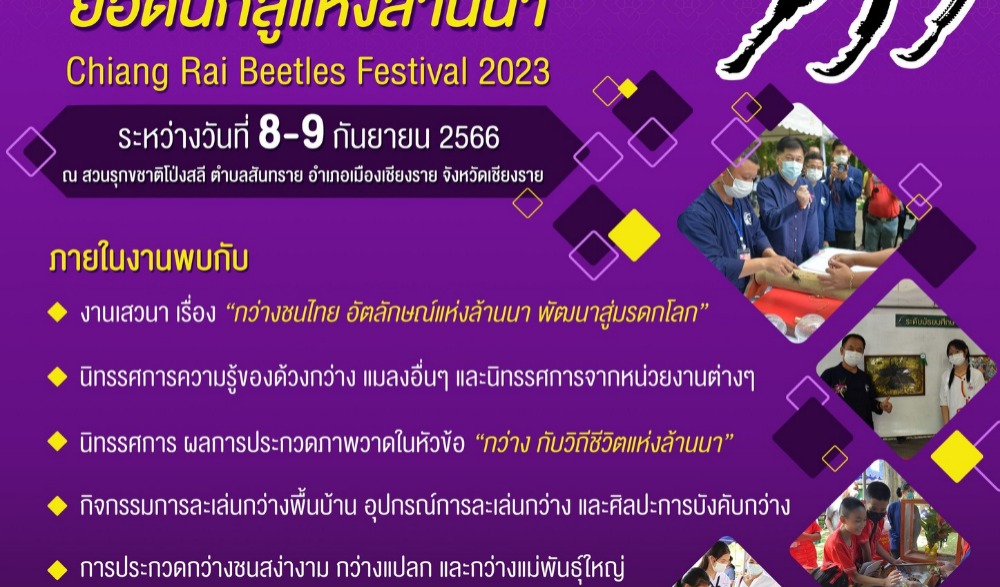 “กว่าง” ยอดนักสู้แห่งล้านนา (Chiang Rai Beetles Festival 2023)