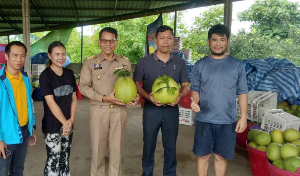 เทศกาลส้มโอและงานกาชาดอำเภอเวียงแก่น ประจำปี 2566