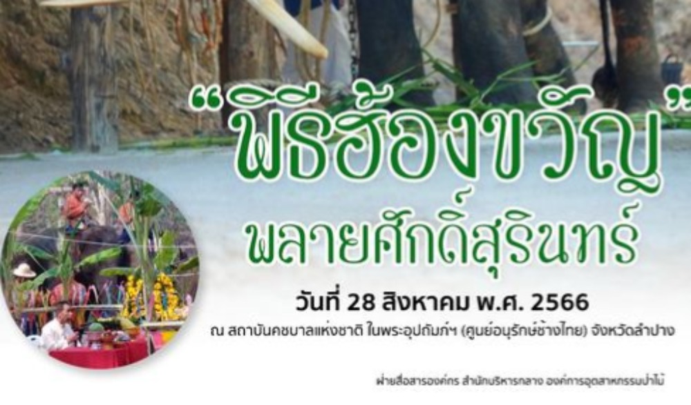 พิธีฮ้องขวัญ พลายศักดิ์สุรินทร์