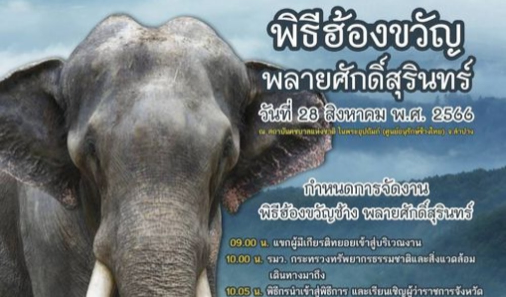 พิธีฮ้องขวัญ พลายศักดิ์สุรินทร์