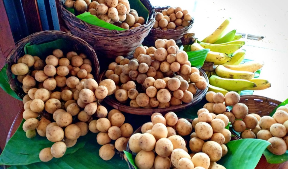 งานลางสาดและลองกองหวาน ประจำปี 2566