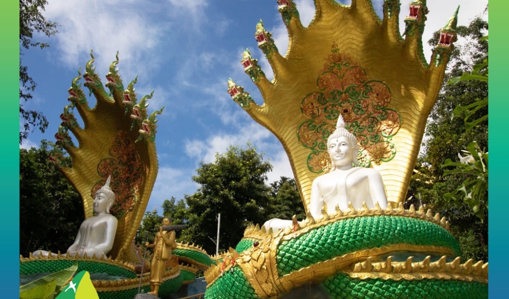 ทริปพาแอ่วชุมชน ชมวิถีคนแม่เมาะ