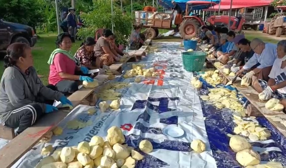 ประเพณีกินกลอย วัดด่านตะกั่วสามัคคี