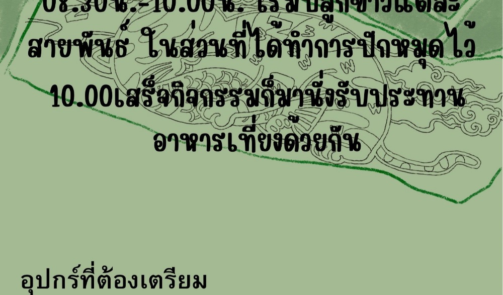ปลูกข้าว ทำศิลปะในนาข้าว