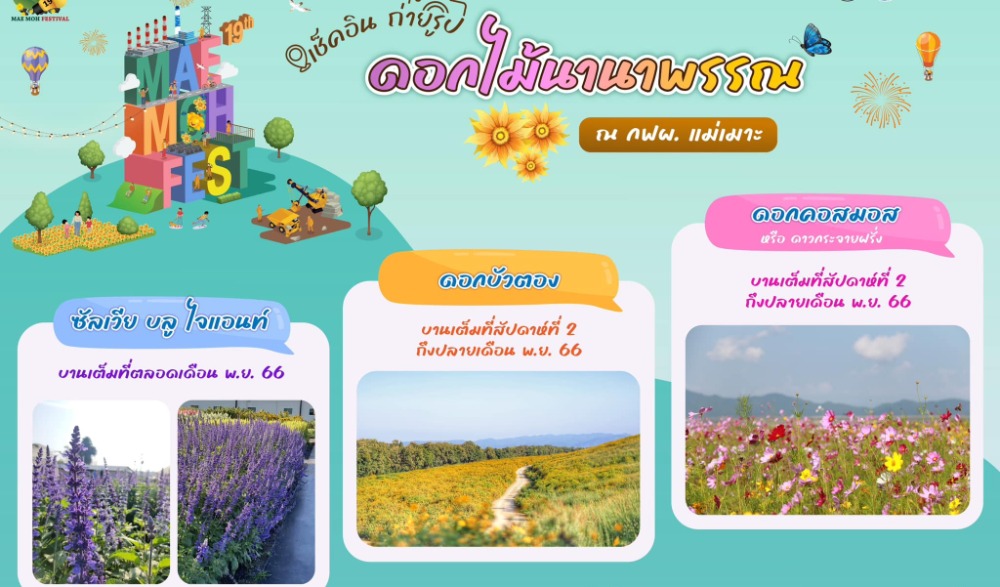 เทศกาลท่องเที่ยวแม่เมาะ ครั้งที่ 19 จังหวัดลำปาง