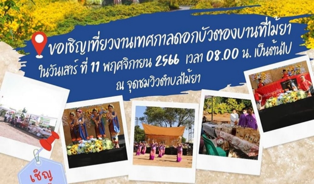 เทศกาลดอกบัวตองบานที่ไม้ยาประจำปี พ.ศ. 2566