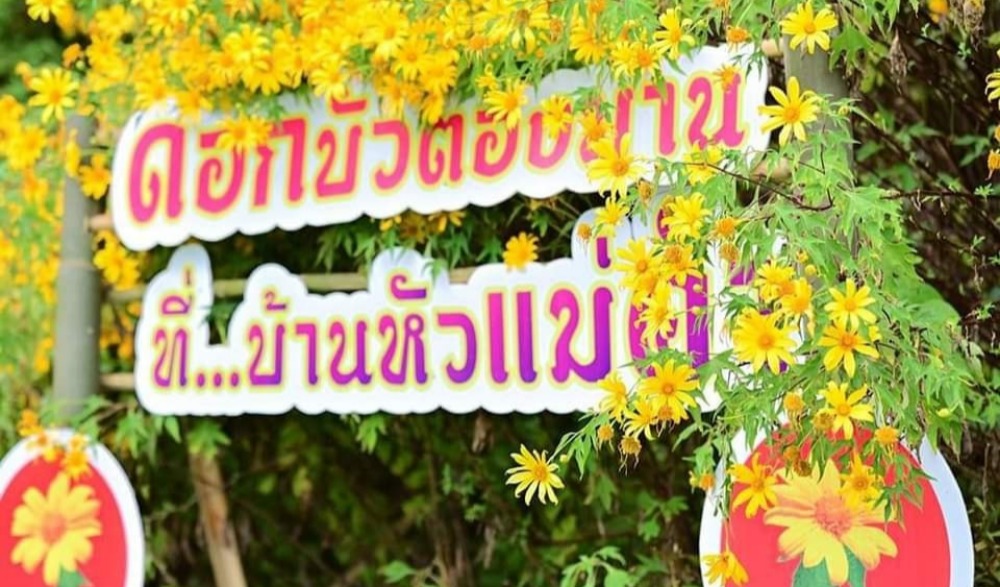 งานดอกบัวตองบานที่บ้านหัวแม่คำ (ครั้งที่ 31) ประจำปี พ.ศ. 2566
