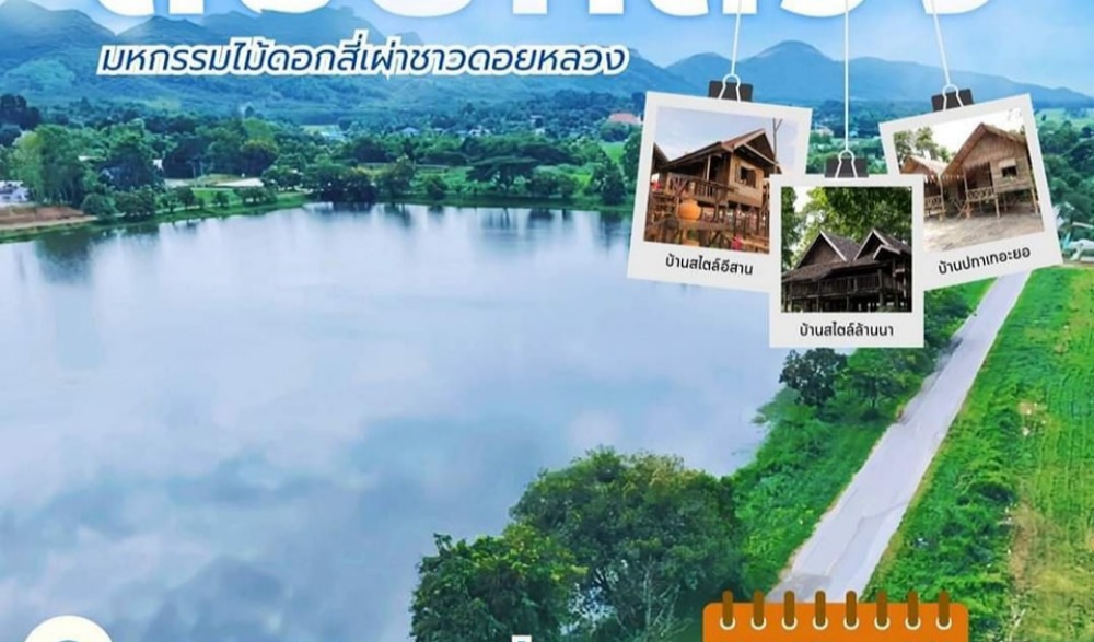 มหกรรมไม้ดอกอาเซียน เชียงราย 4 อำเภอ