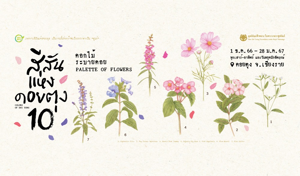 เทศกาลสีสันแห่งดอยตุง ครั้งที่ 10