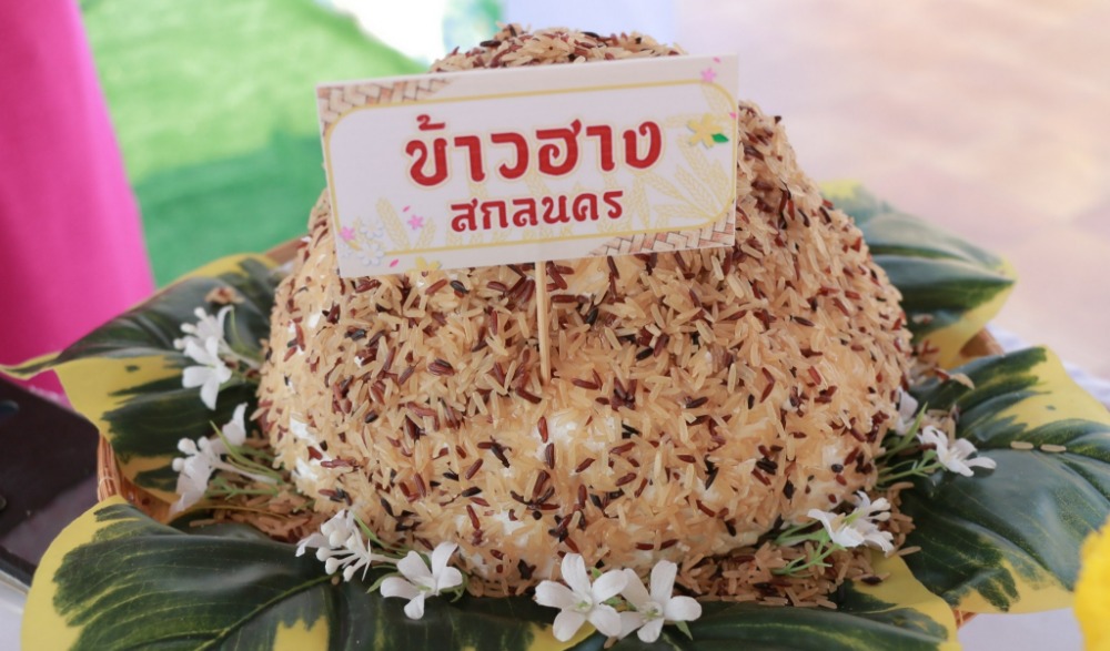 ประเพณีสงกรานต์ จังหวัดสกลนคร ประจำปี ๒๕๖๗ “มหาสงกรานต์ ถนนข้าวฮาง ถิ่นไทสกล ละเบ๋อ ๒๕๖๗”