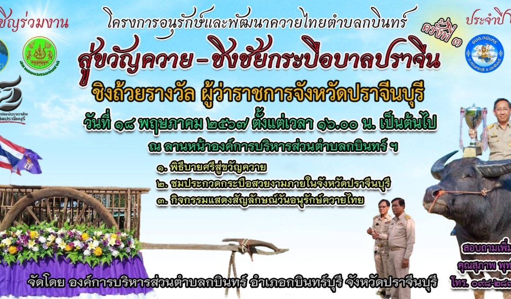โครงการอนุรักษ์และพัฒนาควายไทยตำบลกบินทร์ สู่ขวัญควาย - ชิงชัยกระบือบาลปราจีน