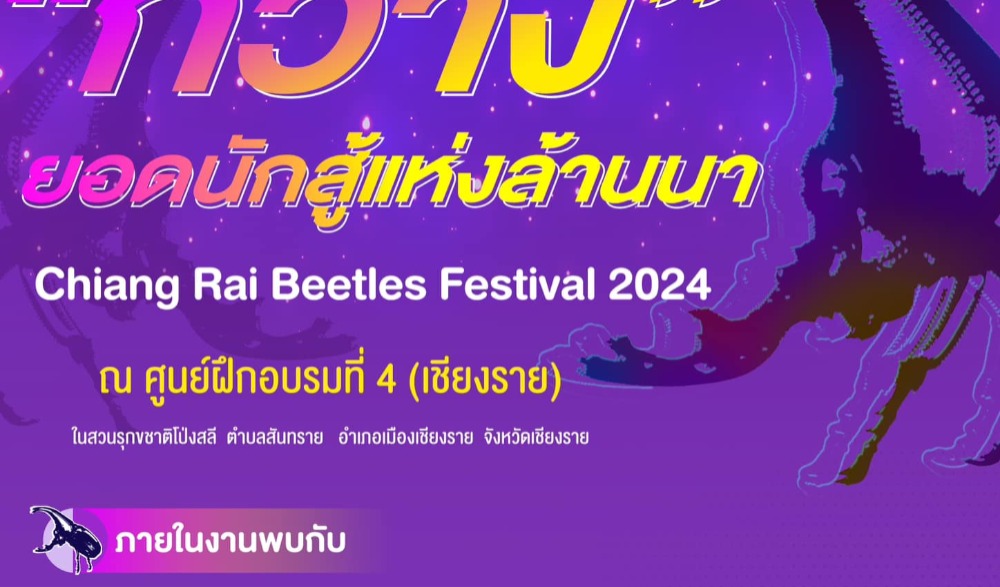 “กว่าง” ยอดนักสู้แห่งล้านนา (Chiang Rai Beetles Festival 2024)