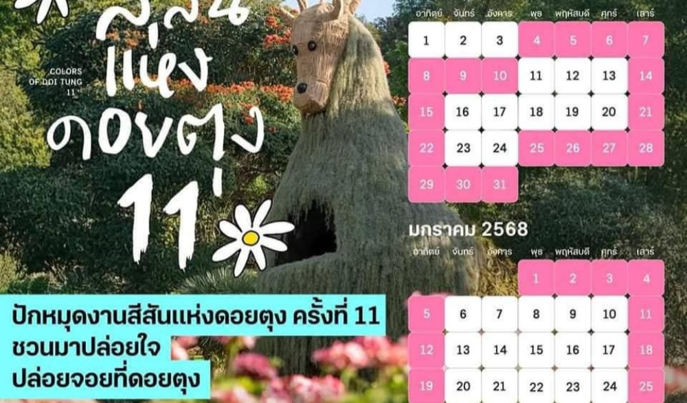 “สีสันแห่งดอยตุงครั้งที่ 11 "Winter WonderDoi ปล่อยใจ ปล่อยจอย  ในดินดอยมหัศจรรย์"