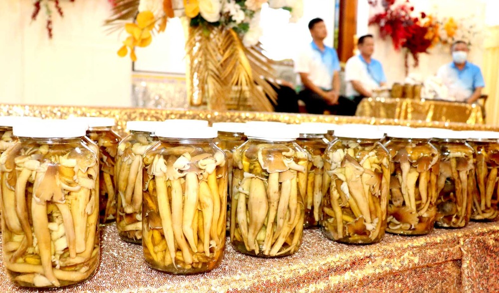 งานเทศกาลเห็ดโคนและอัญมณี อำเภอบ่อพลอย จังหวัดกาญจนบุรี ประจำปี 2569