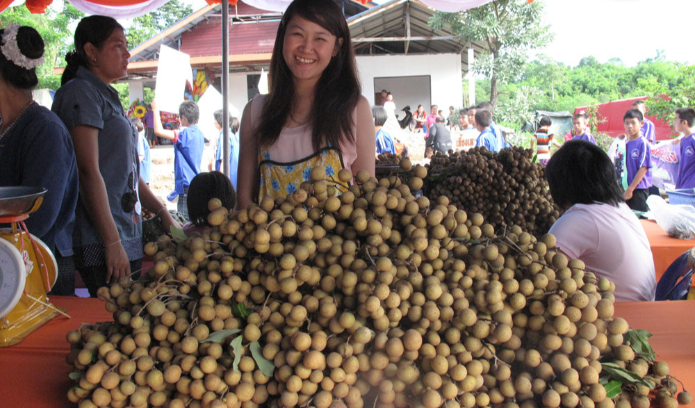 งานเทศกาลเที่ยวหอยหิน กินลำไย ไหว้หลวงปู่ขาว ประจำปี 2569