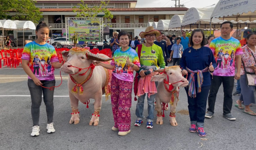 การประกวดฟ้อนรำสู่ขวัญควาย Buffalo Blessing Dance Festival 2026